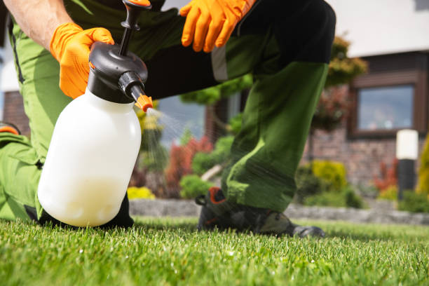 Best Pest Prevention Services  in Cape Neddick, ME
