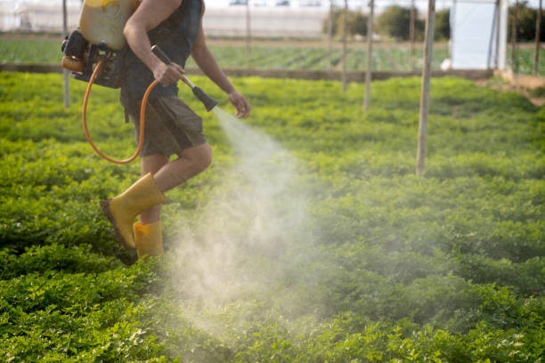 Best Commercial Pest Control Services  in Cape Neddick, ME