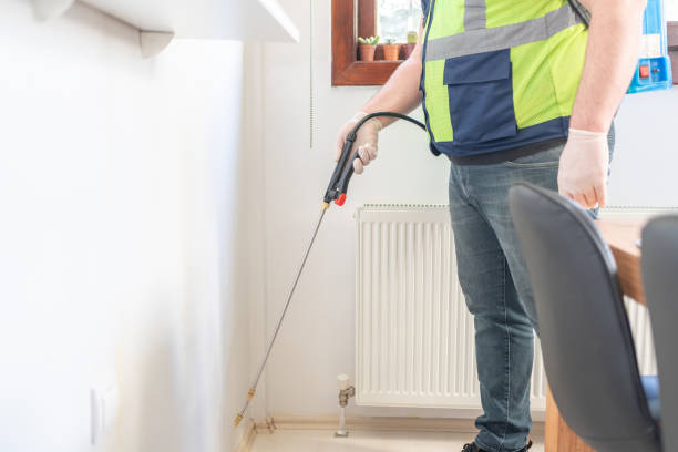 Best Bed Bug Extermination  in Cape Neddick, ME
