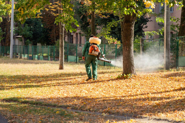 Professional Pest Control in Cape Neddick, ME