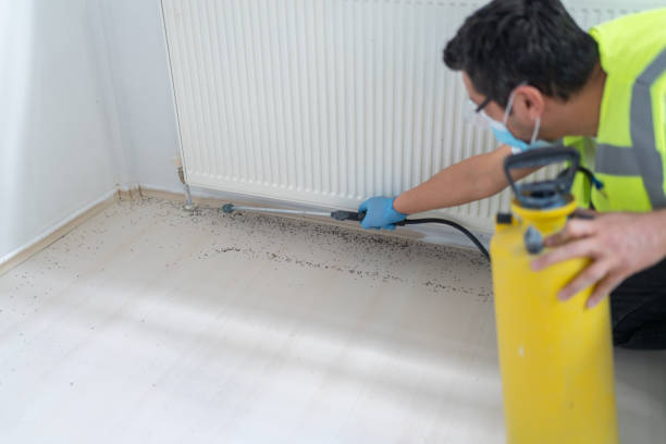 Best Pest Control Near Me  in Cape Neddick, ME