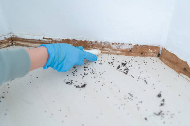 Best Wildlife Control Services  in Cape Neddick, ME